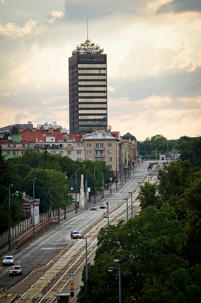 Vinohradská