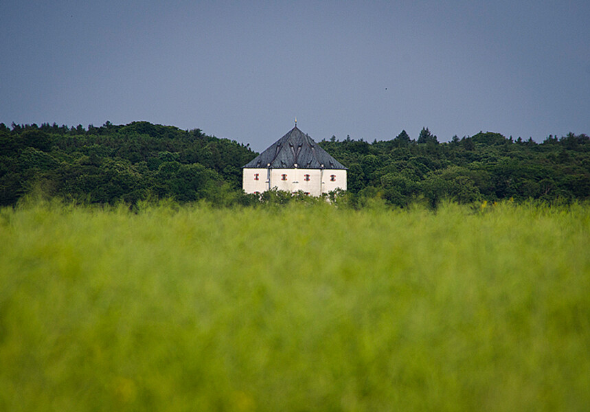 Hvězda