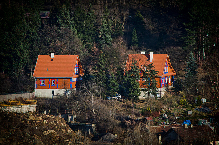 Pražská zoo