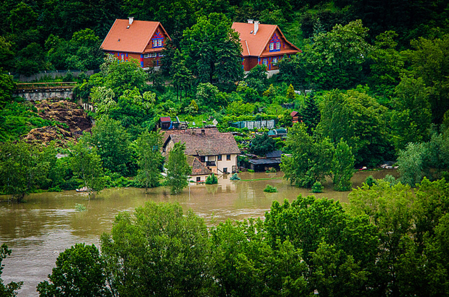 Pražská zoo