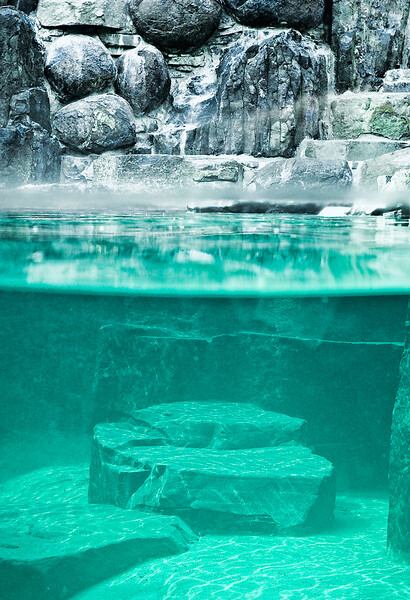 Pražská zoo