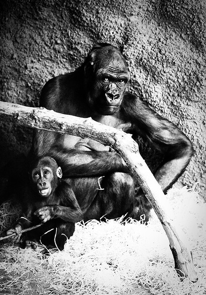 _DSC5795bw