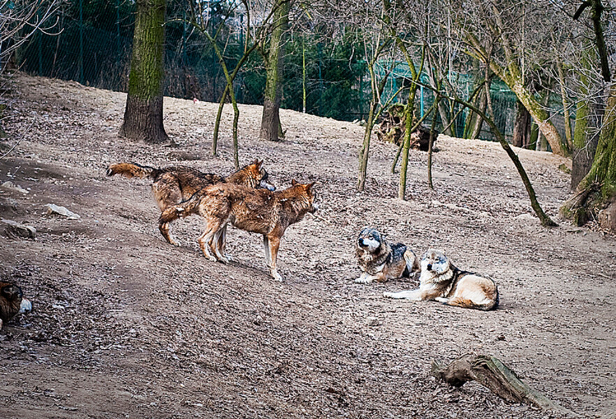 ZOO Praha