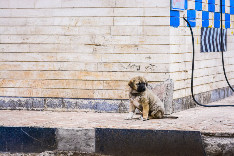 iran-roadtrip-2017_009