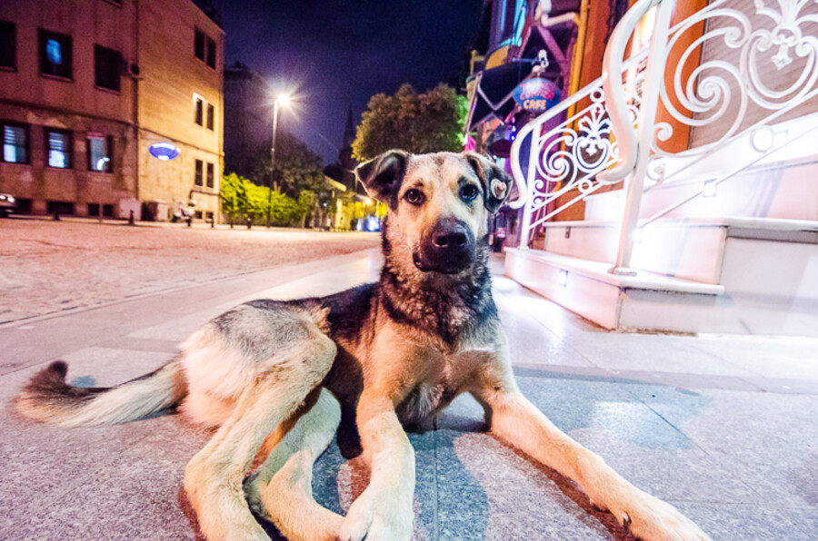 Istanbul