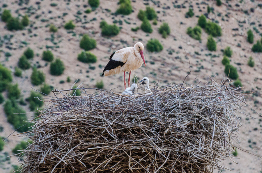 Maroko_2015_26-den_Ouzoud-Zaouia-Ahansal_307