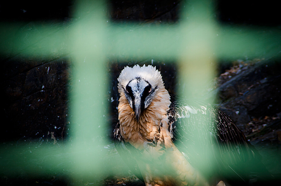 ZOO Praha