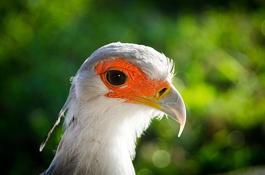 ZOO Praha
