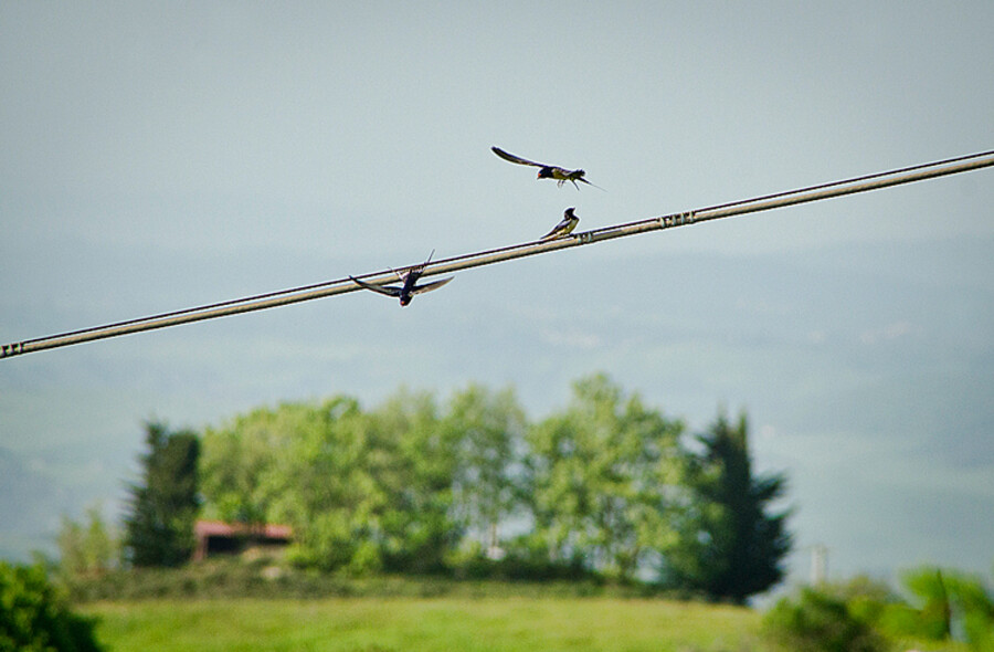 Castiglione d'Orcia