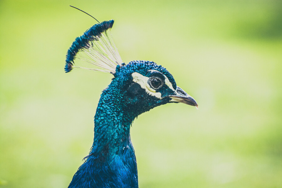 Zoo Praha
