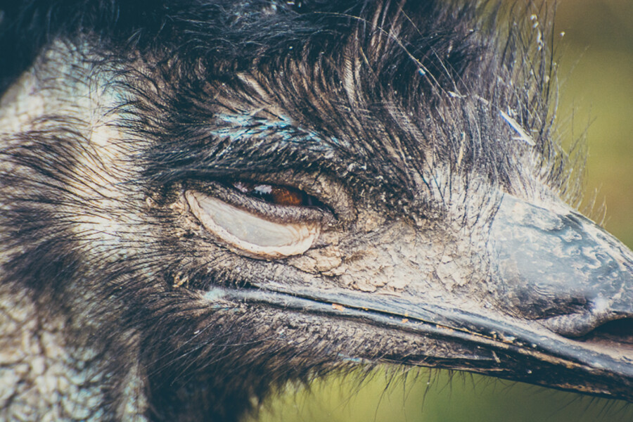 Zoo Praha
