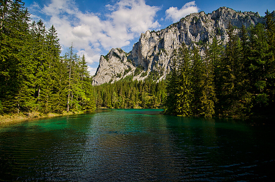 Grüner See