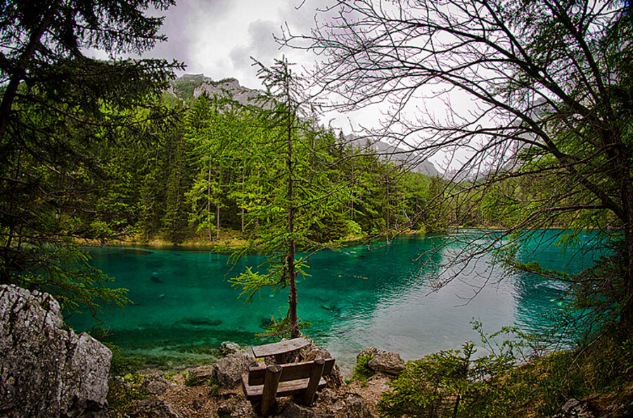 Grüner See