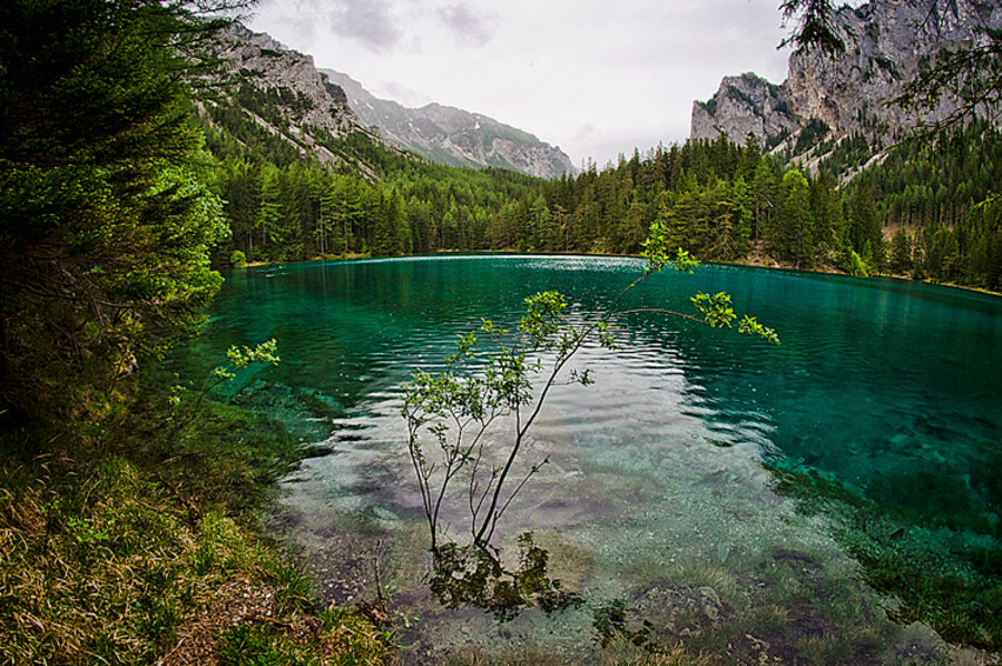 Grüner See
