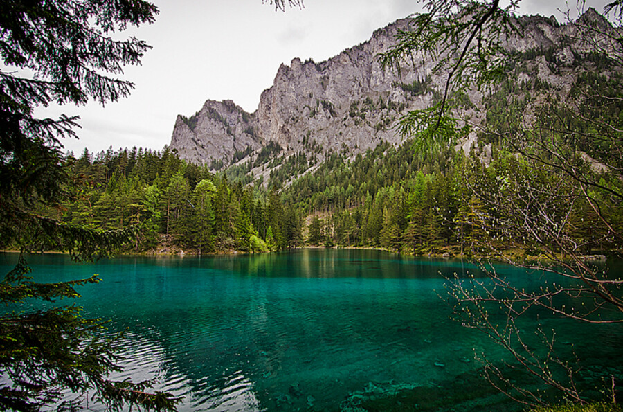 Grüner See