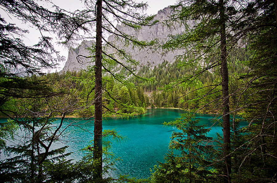 Grüner See