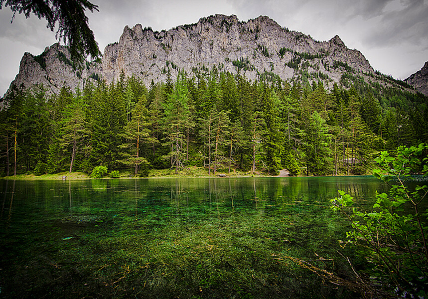 Grüner See
