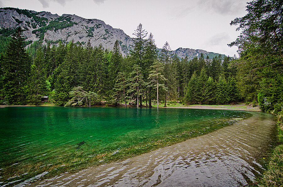 Grüner See