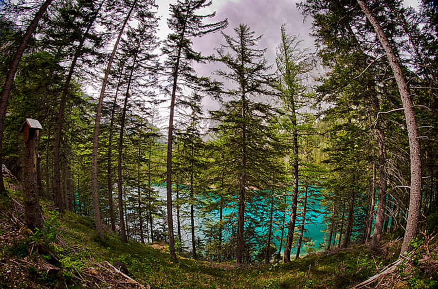 Grüner See