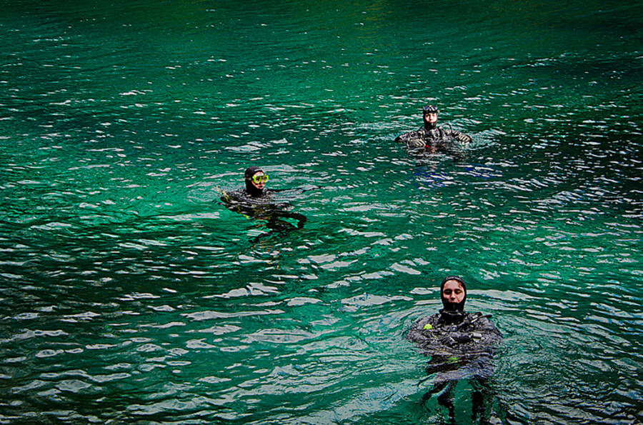 Grüner See