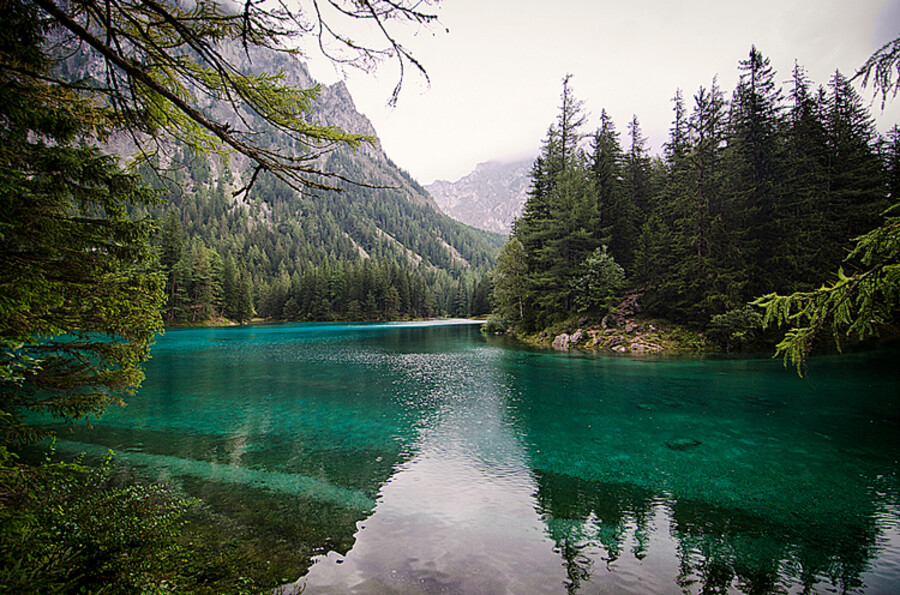 Grüner See