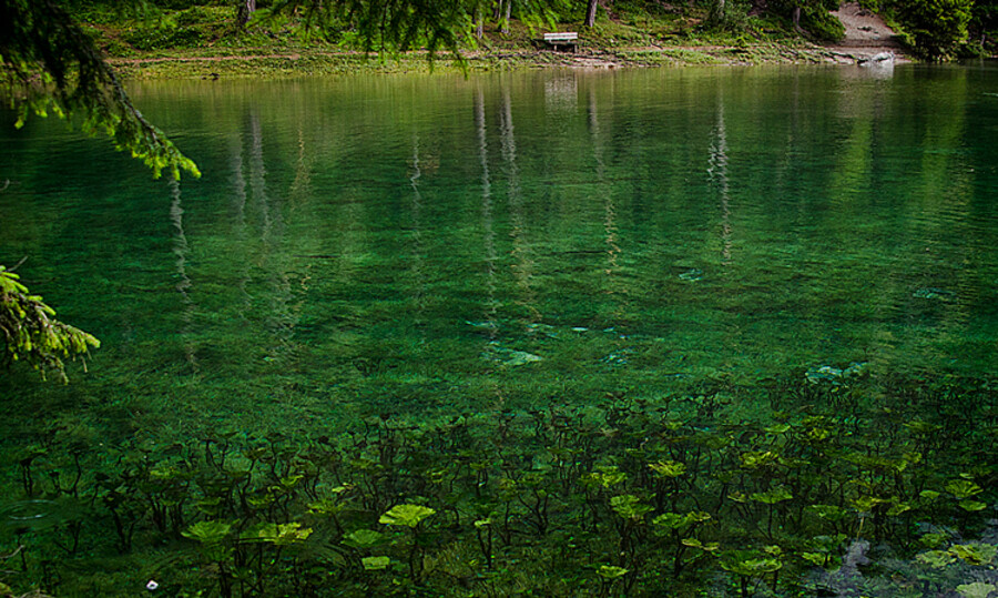 Grüner See