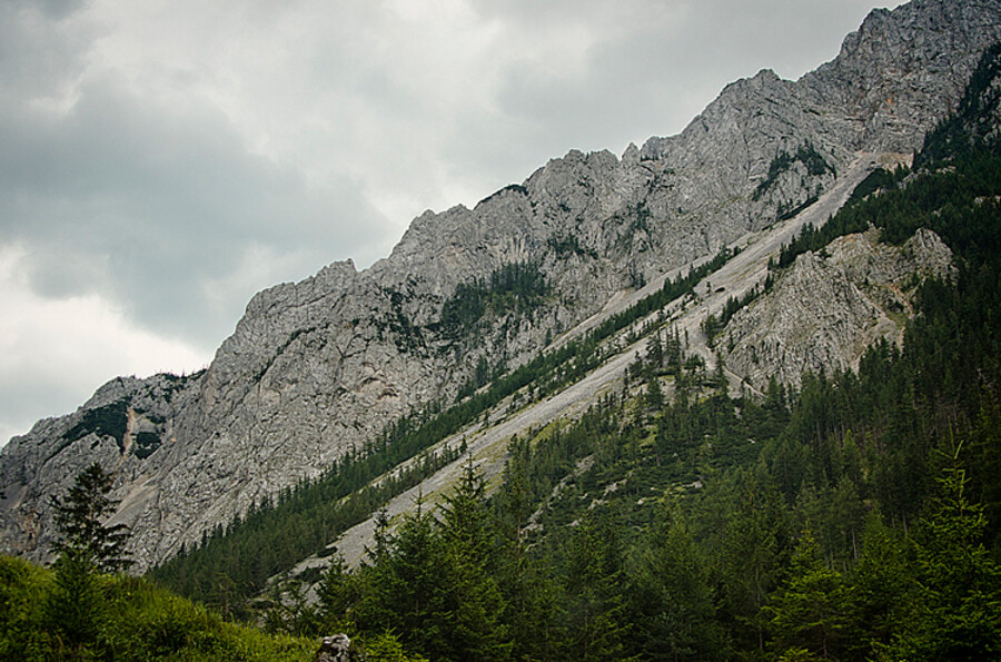 Grüner See