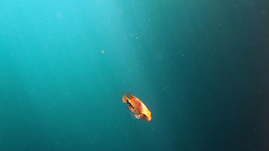 Cenote Azul