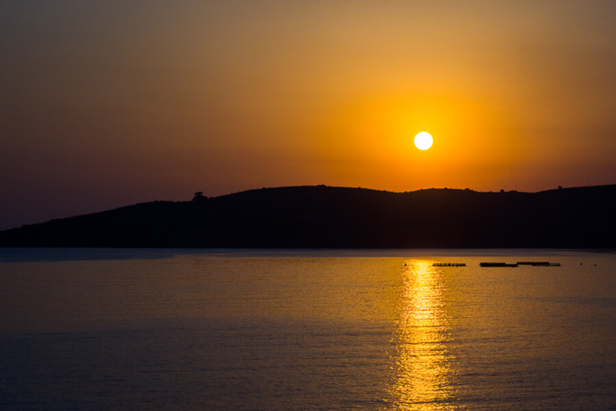 ALB_4436