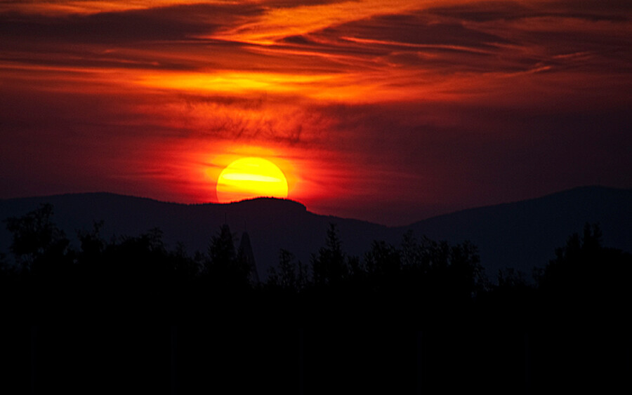 _DSC5489