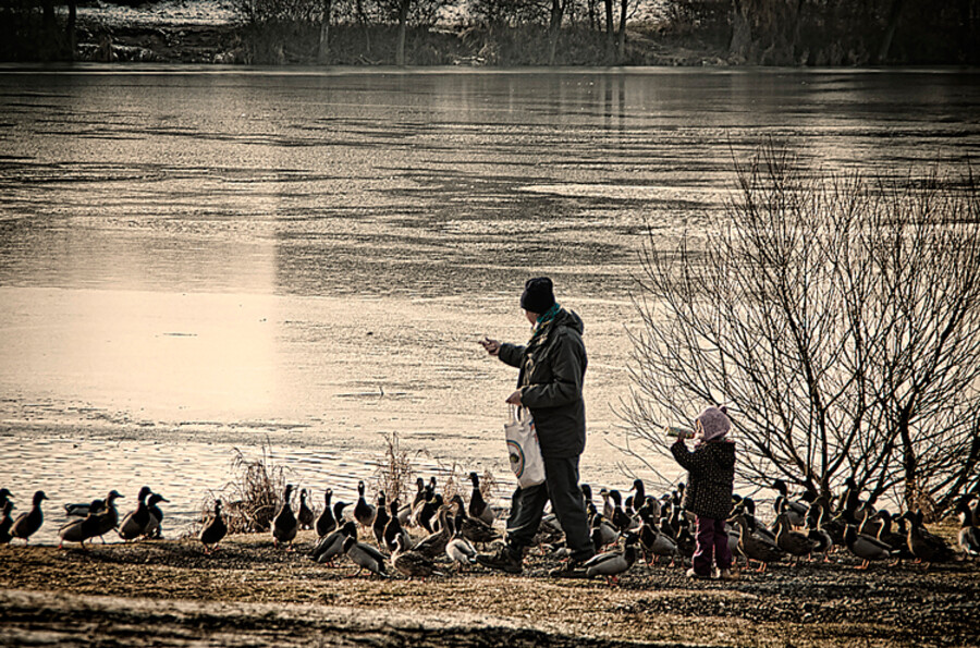 Dobříš