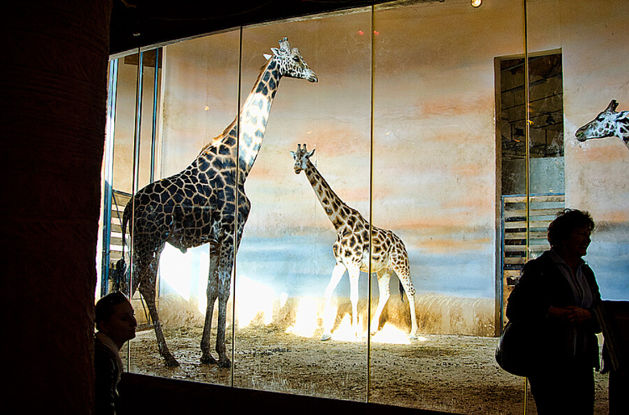 ZOO Praha