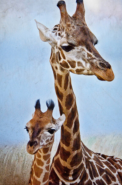 ZOO Praha