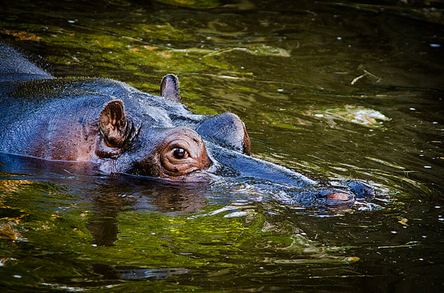 ZOO Praha