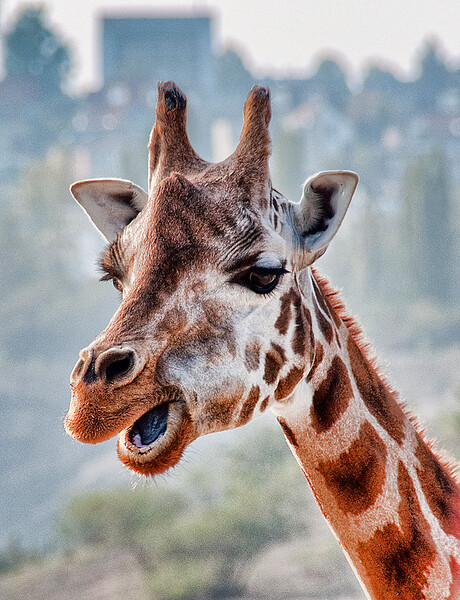 ZOO Praha