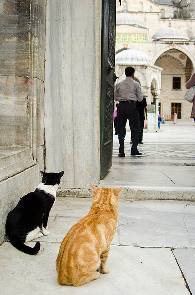 Istanbul