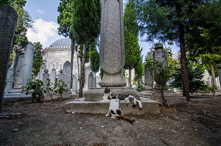 Istanbul