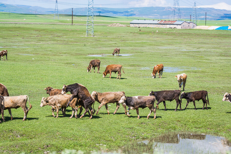 turecko-roadtrip-turkey-2017_084
