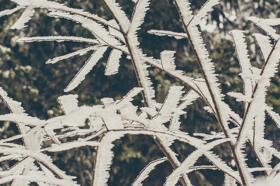 Neratov