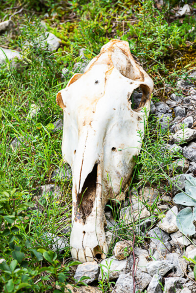 Balkan-2019-07-24-Valbona-Kukes_043