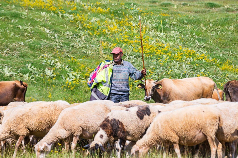 Balkan-2019-07-25-Kukes-Lure_076
