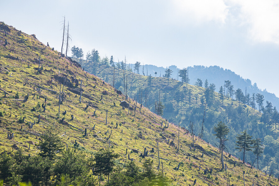 Balkan-2019-07-25-Kukes-Lure_089