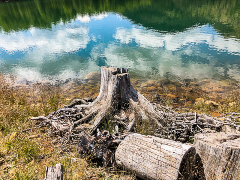 Balkan-2019-07-26-Lure-Debar_060