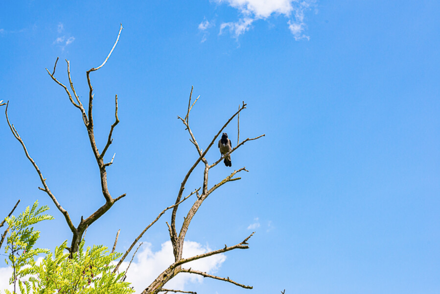 Balkan-2019-07-16-Jajce_110