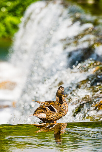 Balkan-2019-07-16-Jajce_142