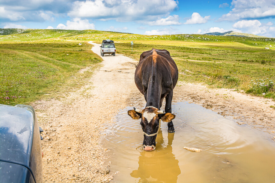 Balkan-2019-07-17-Jajce-Plocari_120