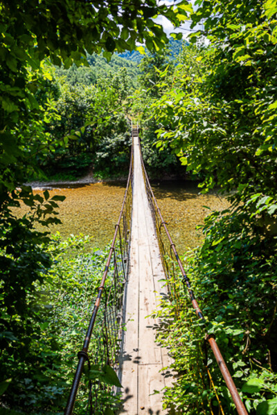 Balkan-2019-07-19-Boracko-Pivsko-jezero_025-Ladanica