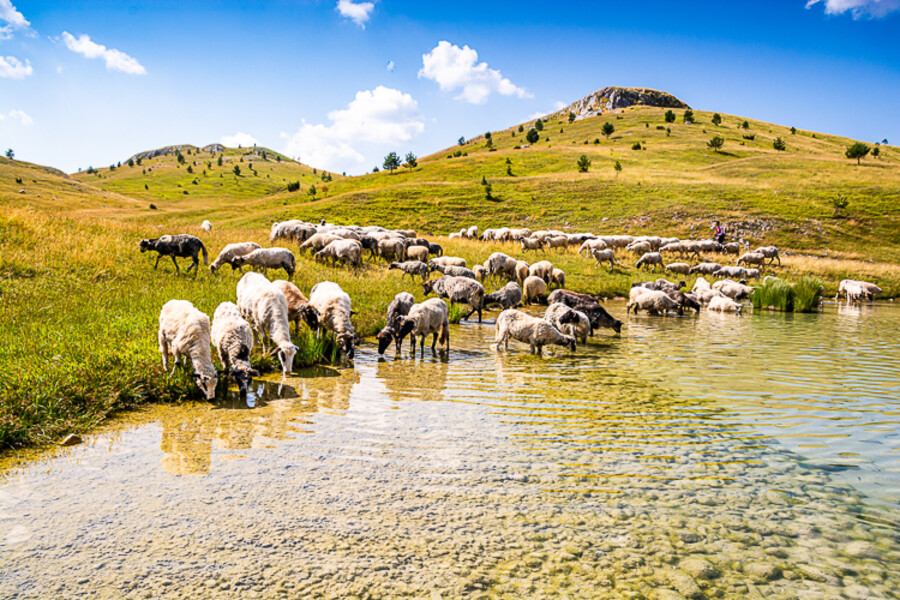 Balkan-2019-07-21-Vrazje-jezero-Plav_028