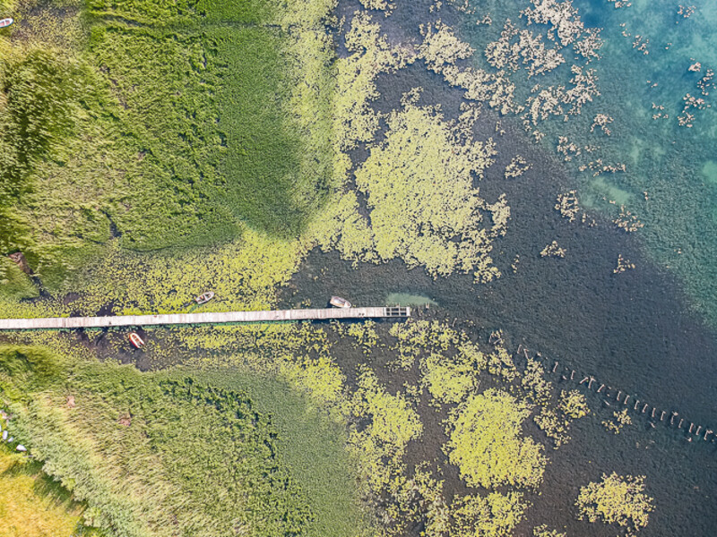Balkan-2019-07-21-Vrazje-jezero-Plav_172
