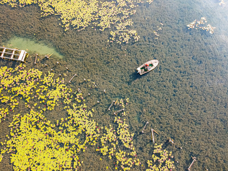Balkan-2019-07-21-Vrazje-jezero-Plav_186